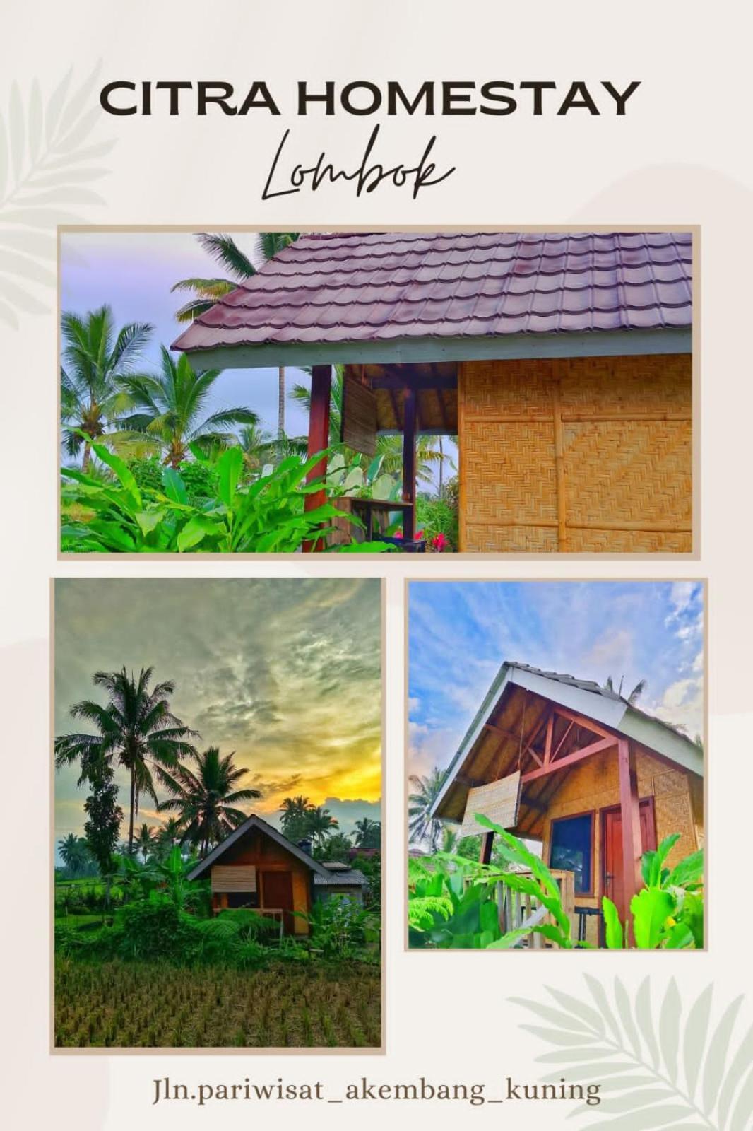 Citra Homestay Tetebatu Luaran gambar