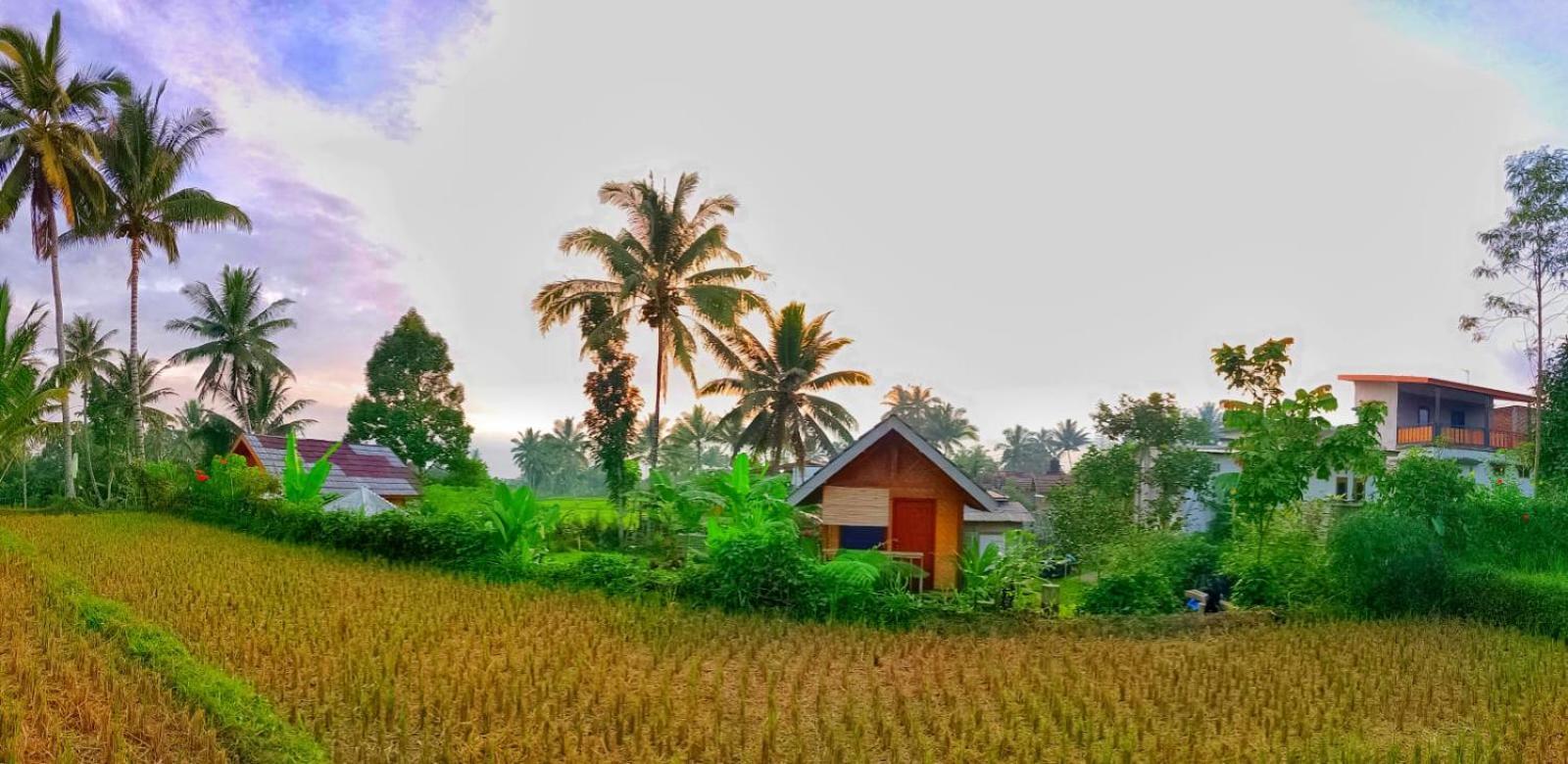 Citra Homestay Tetebatu Luaran gambar