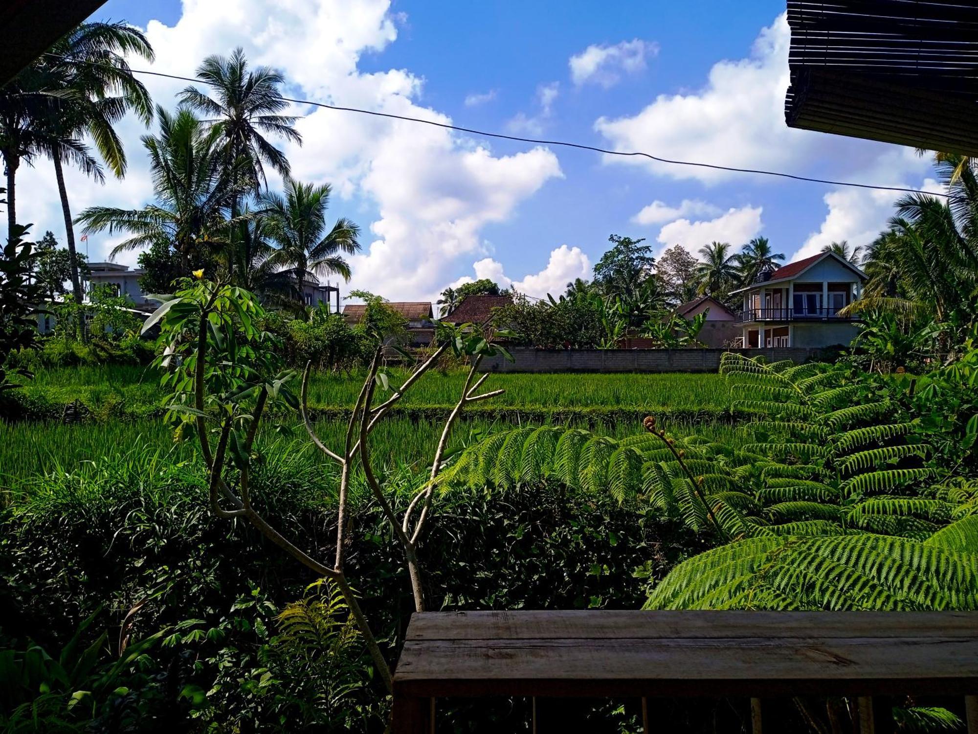Citra Homestay Tetebatu Luaran gambar