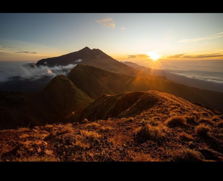 Citra Homestay Tetebatu Luaran gambar