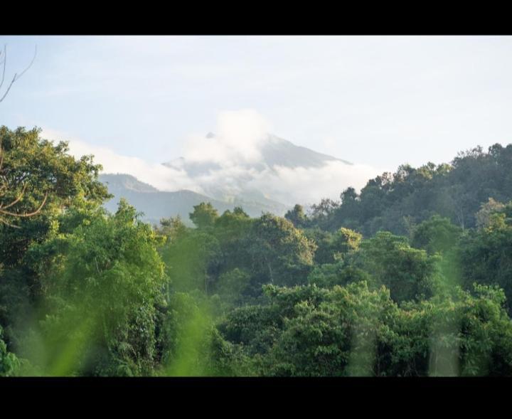 Citra Homestay Tetebatu Luaran gambar
