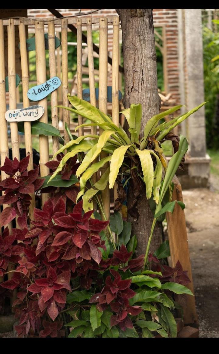 Citra Homestay Tetebatu Luaran gambar