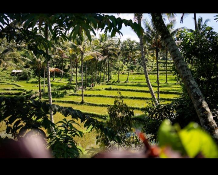 Citra Homestay Tetebatu Luaran gambar