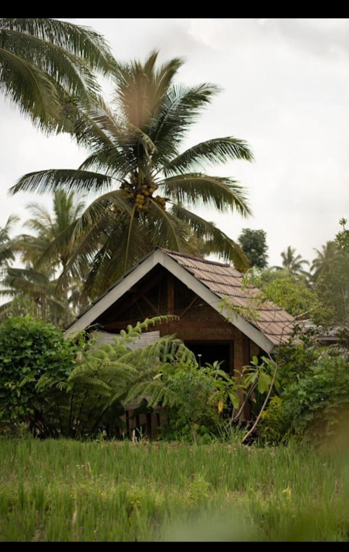 Citra Homestay Tetebatu Luaran gambar