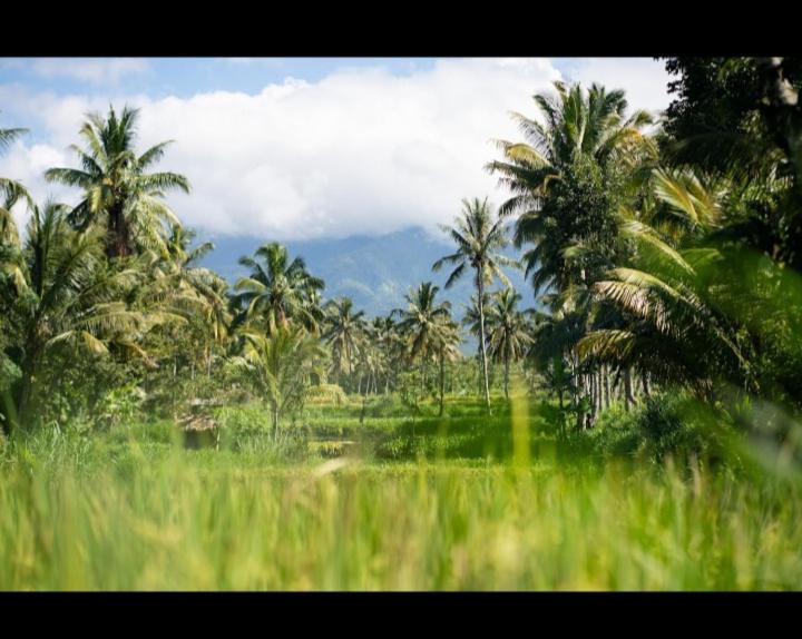 Citra Homestay Tetebatu Luaran gambar